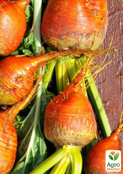 

Буряк Кормовий Різон ТМ Весна 500г