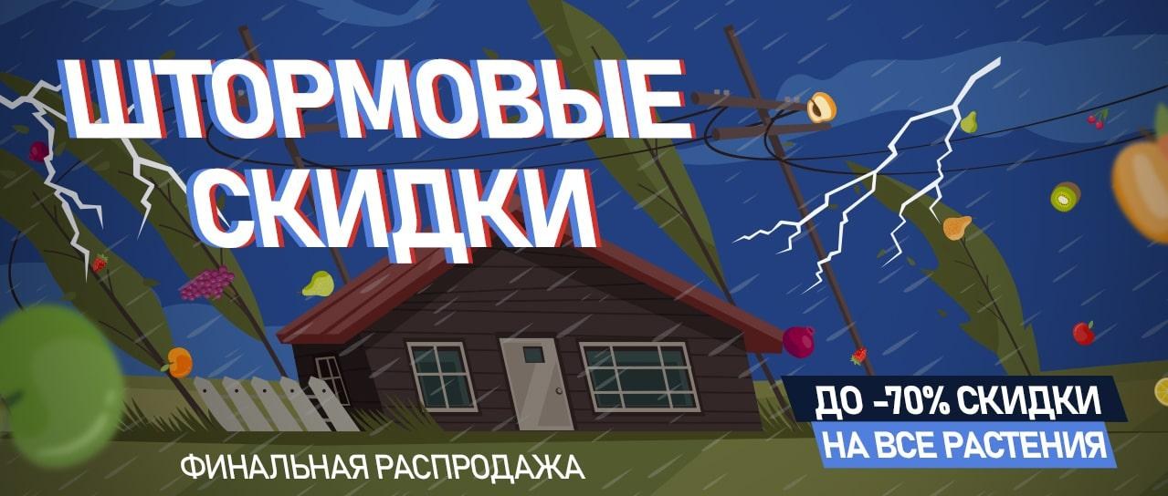 Штормовые скидки Штормовые скидки