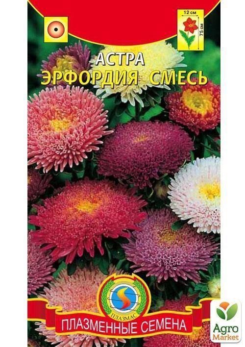Астра "Эрфордия" смесь ТМ "Плазменные семена"0,2г