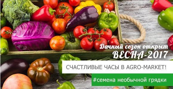 Грандиозная скидка! Только 4 часа! Грандиозная скидка! Только 4 часа!