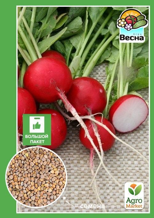 

Редис "Краса" (Большой пакет) ТМ "Весна" 7г