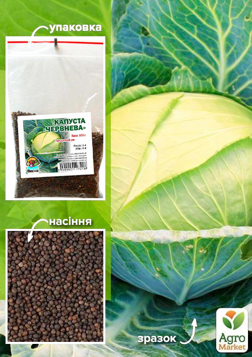 

Капуста Июньская ТМ Весна 100г