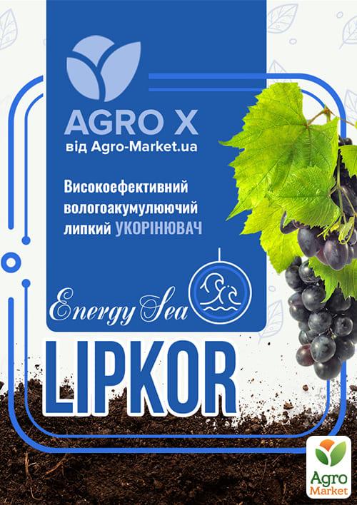 Липкий укорінювач нового покоління LIPKOR "Energy Sea" (Ліпкор) ТМ "AGRO-X" 300мл