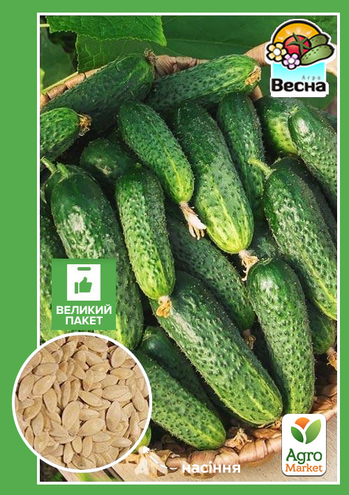 

Огірок Виноградне гроно F1 (Великий пакет) ТМ Весна 1.5г