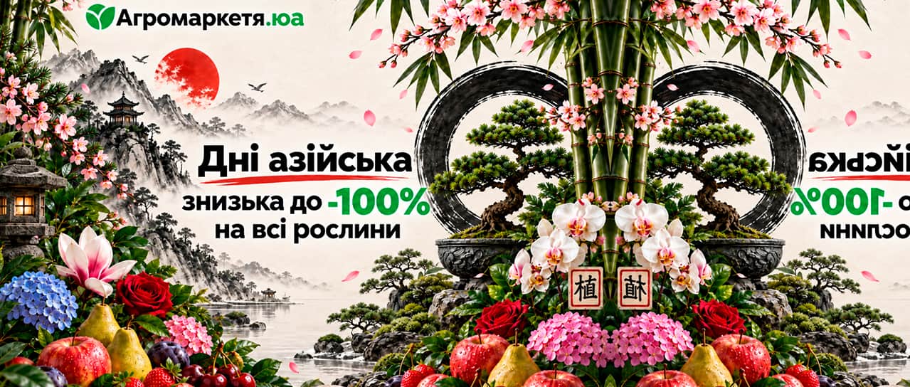 Дні азійська знизька до -100%!