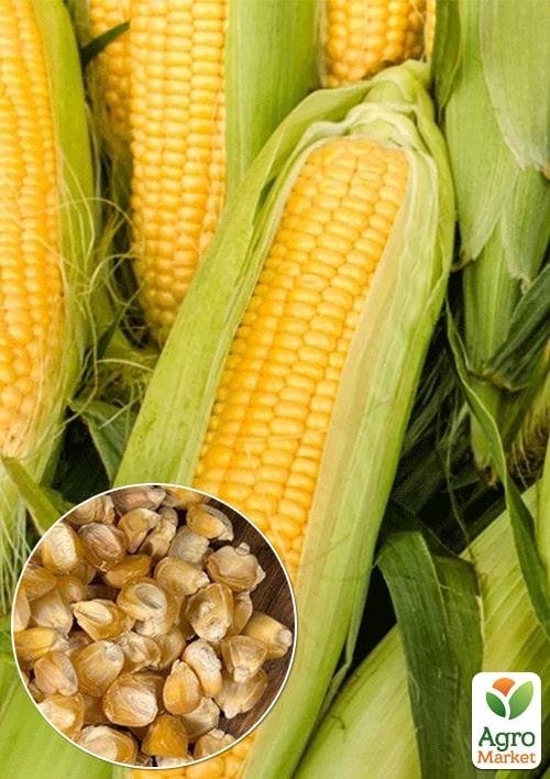 

На развес Кукуруза Конкурент ТМ Весна цена за 40г