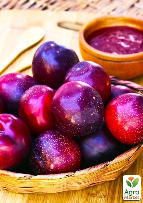 

Эксклюзив! Японская слива Сатсума (Satsuma) (раннеспелая) крупноплодная 150грамм!