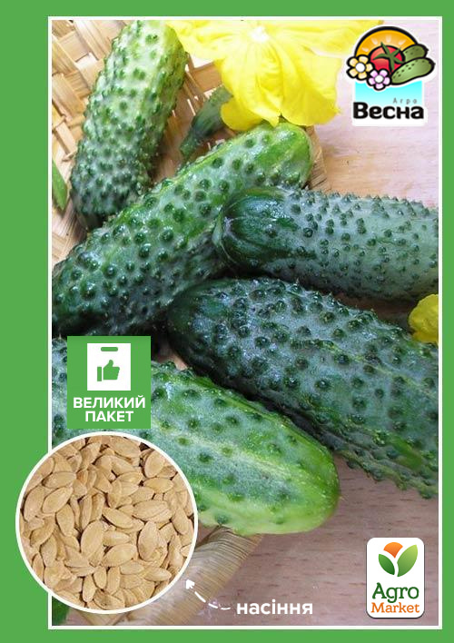 

Огірок Льоша F1 (Великий пакет) ТМ Весна 1.5г