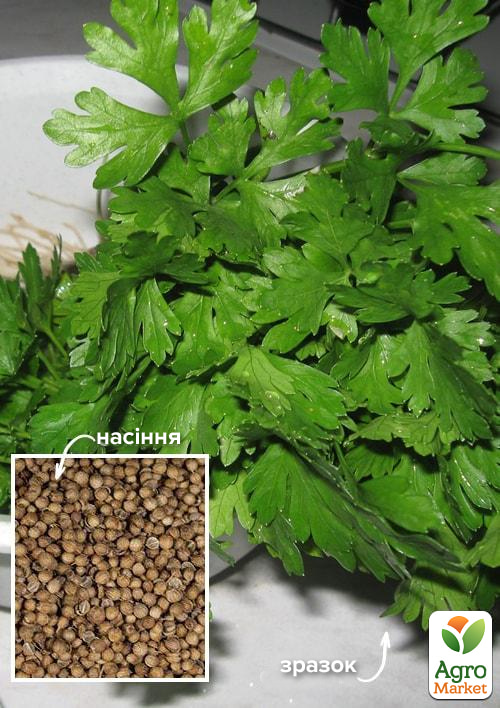 

На развес Кориандр Восточный аромат ТМ Весна цена за 20г