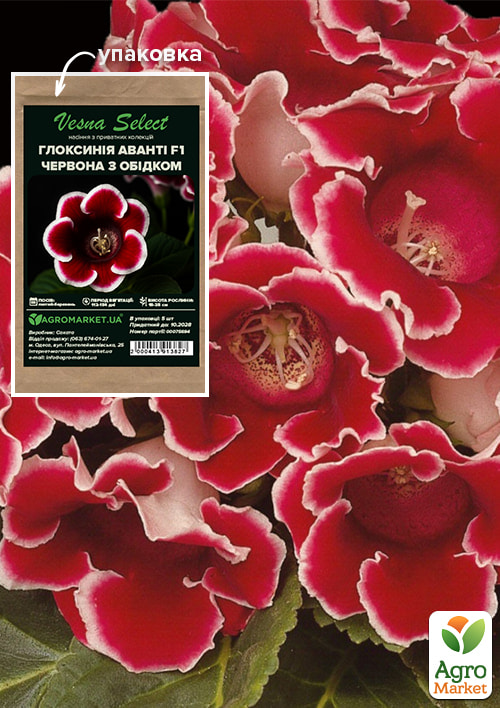 

Глоксиния Аванти F1 красная с ободком ТМ Vesna Select 5шт