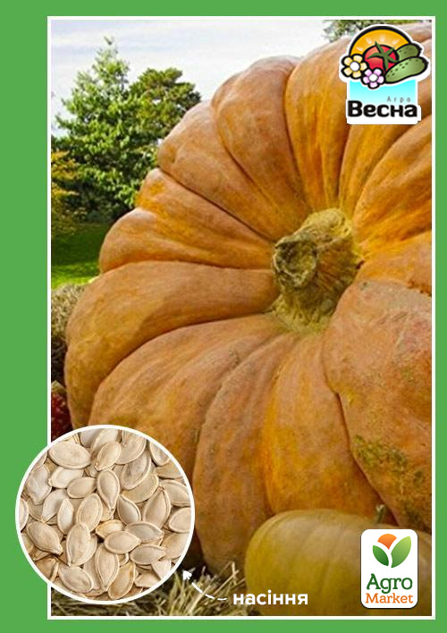 

Гарбуз Титан ТМ Весна 2г