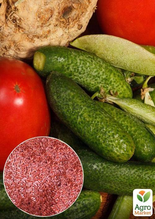 

На вагу Огірок Малосольний F1 ТМ Весна ціна за 3г