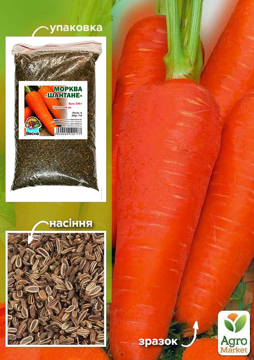 

Морква Шантане ТМ Весна 500г