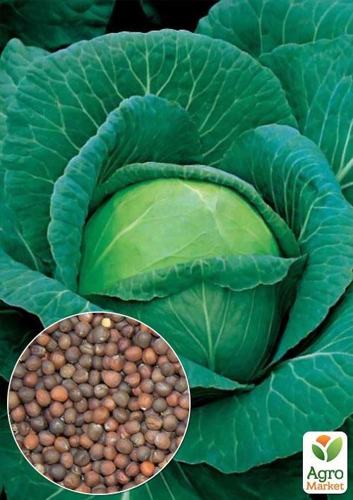 

На вагу Капуста Амагер ТМ Весна ціна за 6г