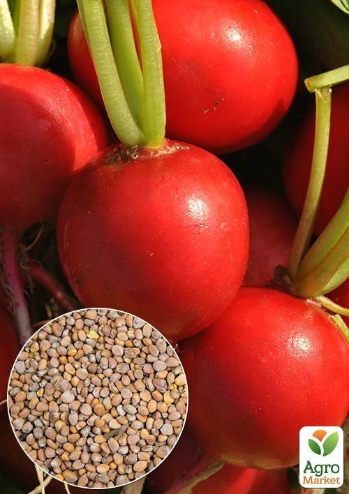 

На вагу Редис Рова ТМ Весна ціна за 10г