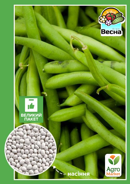

Квасоля спаржева Зелена кущова (Великий пакет) ТМ Весна 5г