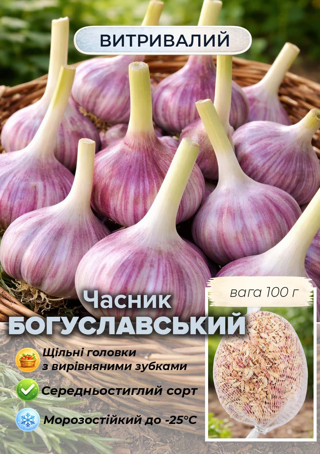 Ексклюзив! Часник посадковий (повітряне насіння) "Богуславський" 100г