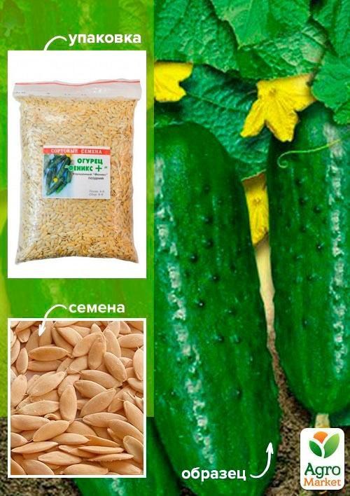 

Огурец Феникс+ ТМ Весна 500г