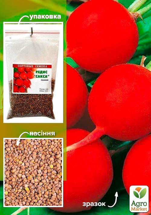 

Редис Сакса ТМ Весна 100г