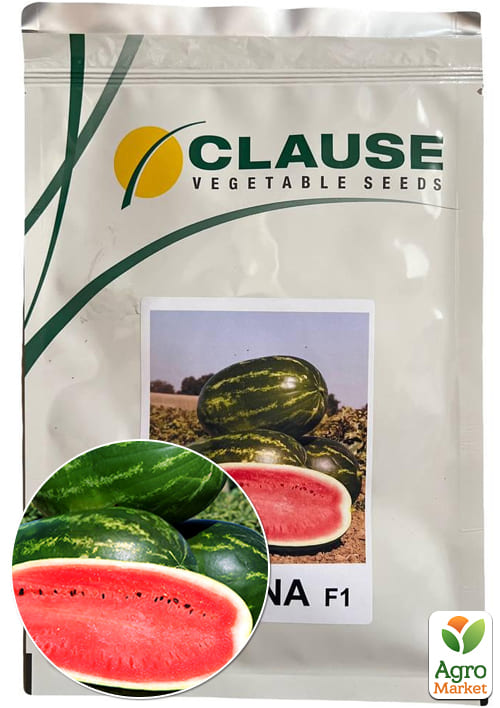 

Арбуз Мелина F1 ТМ Clause 1000шт