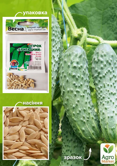 

Огірок Бригадний (Зипер) ТМ Весна 2г