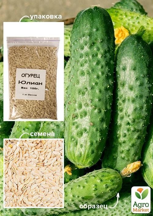 

Огурец Юлиан ТМ Весна 100г