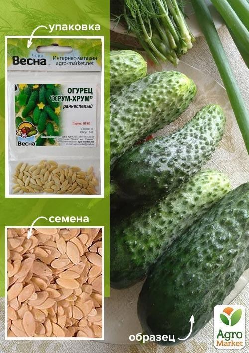 

Огурец "Хрум-хрум" (Зипер) ТМ "Весна" 2г