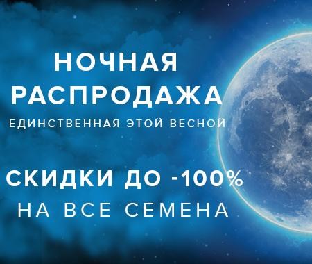 Ночная распродажа: Скидки до -100% на все семена Ночная распродажа: Скидки до -100% на все семена