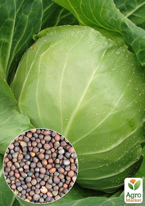 

На развес Капуста Белоснежка ТМ Весна цена за 6г