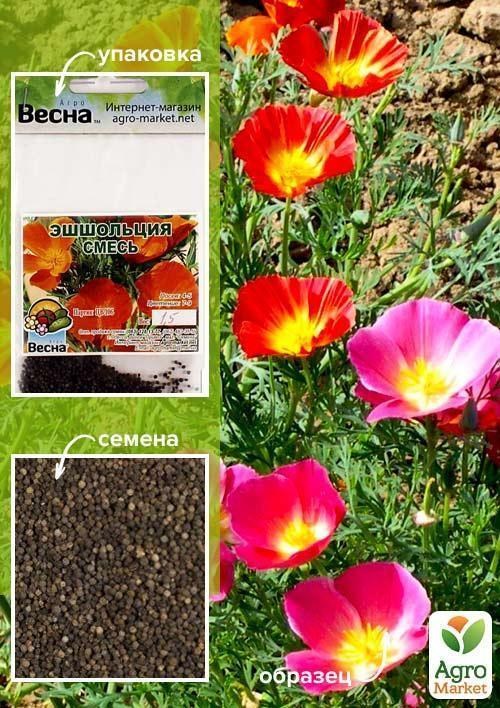 

Эшшольция "Смесь" (Зипер) ТМ "Весна" 1г