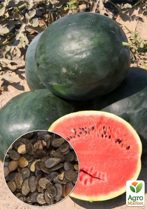 

На вагу Кавун Орфей ТМ Весна ціна за 6г