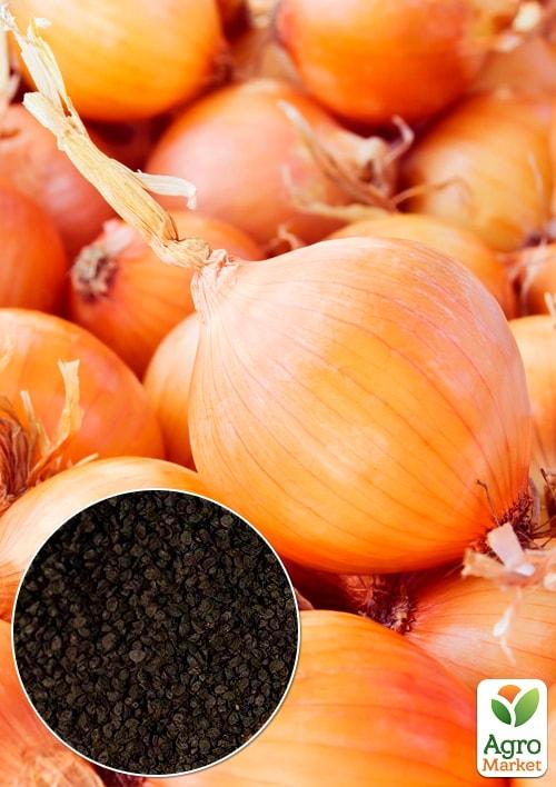 

На развес Лук Касатик ТМ Весна цена за 5г