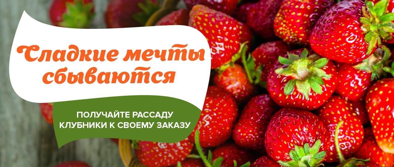 Акция! Сладкие мечты сбываются Акция! Сладкие мечты сбываются