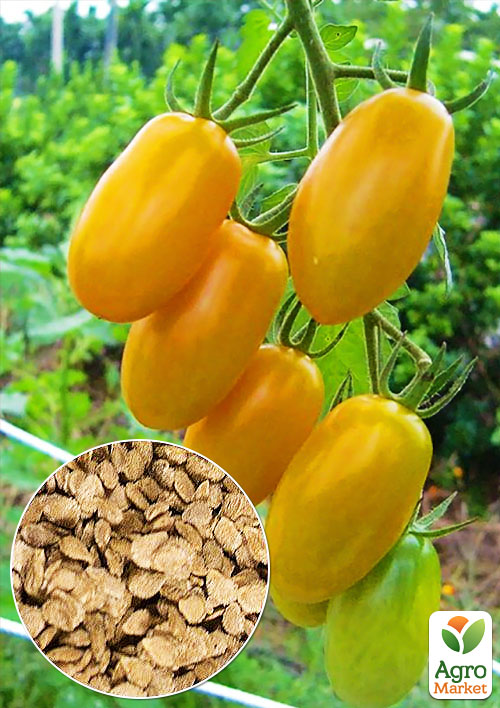 

На развес Томат Солнечный приз ТМ Весна цена за 1г