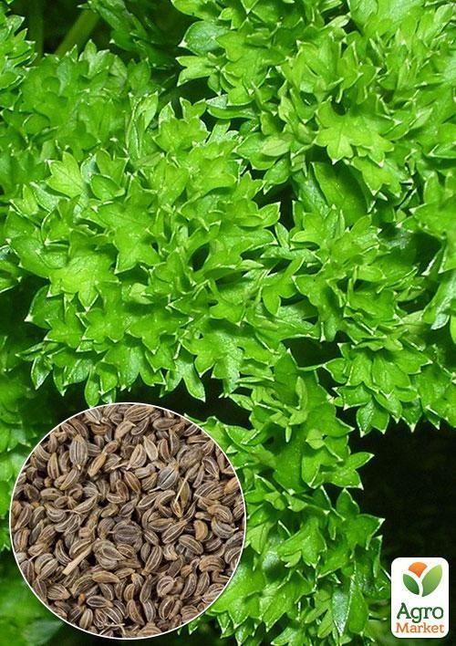 

На развес Петрушка кучерявая ТМ Весна цена за 5г