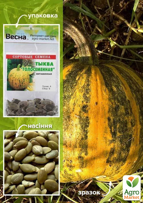 

Тыква Голосеменная (Зипер) ТМ Весна 5г