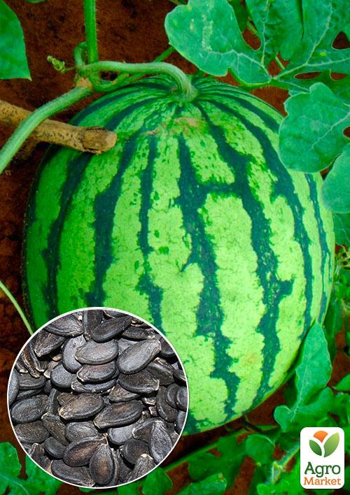 

На развес Арбуз Скорик ТМ Весна цена за 6г