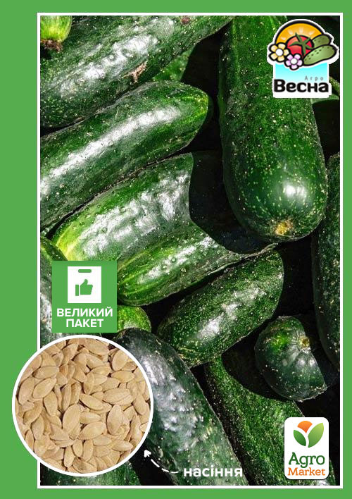 

Огірок Ніжинський (Великий пакет) ТМ Весна 2г
