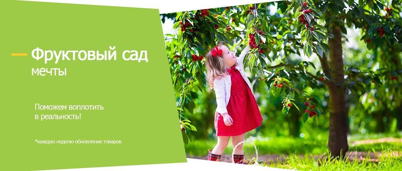 Акция! Фруктовый сад Акция! Фруктовый сад