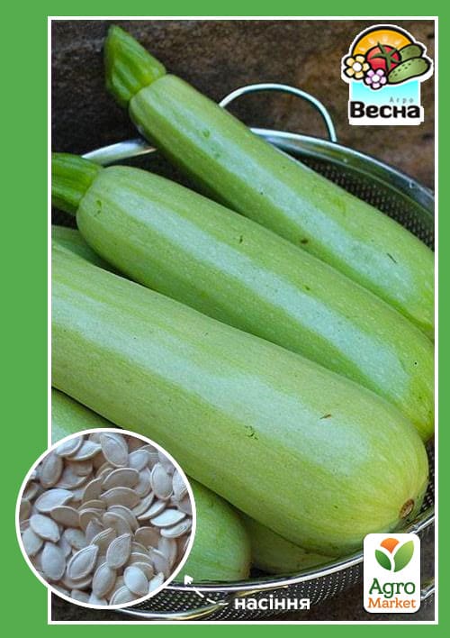

Кабачок Чаклун ТМ Весна 2г
