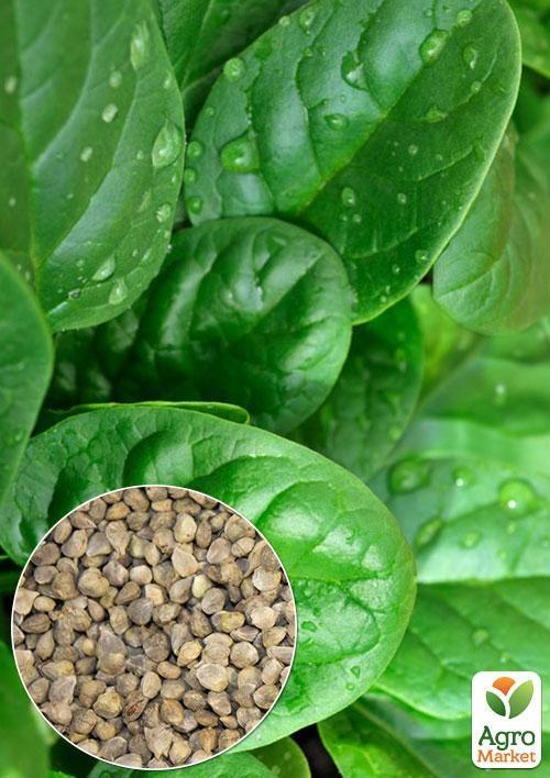 

На развес Шпинат Матадор ТМ Весна цена за 7г