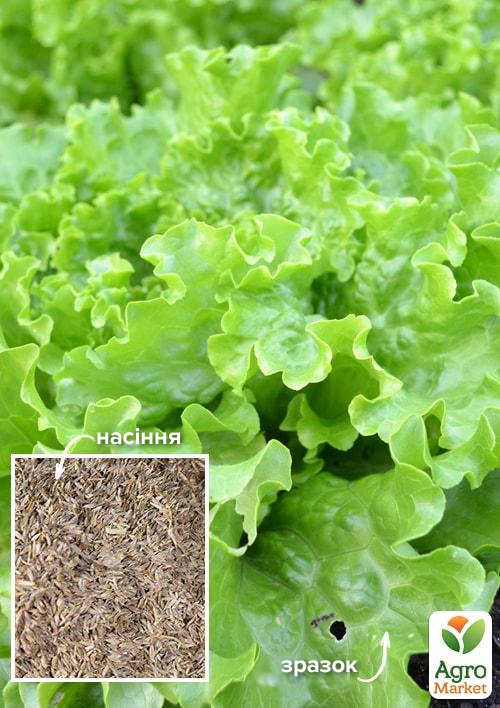 

На вагу Салат Єралаш ТМ Весна ціна за 8г