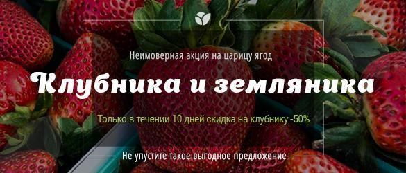 1873 клиента уже приняли участие в акции и получили скидку -50% 1873 клиента уже приняли участие в акции и получили скидку -50%