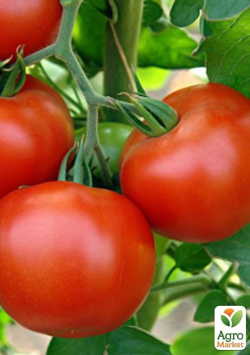 Томат "Міцний горішок" ТМ "Vesna Select" 0,2г