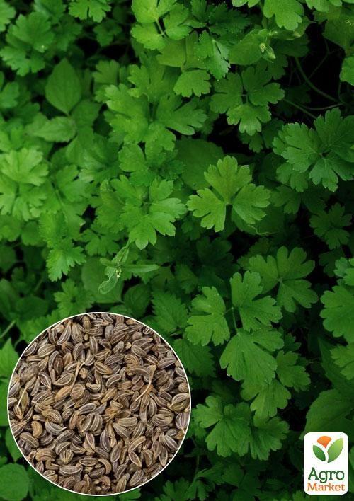 

На вагу Петрушка Карнавал ТМ Весна ціна за 10г