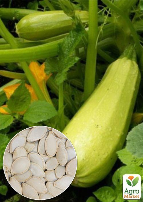 

На развес Кабачок Дядя Степа ТМ Весна цена за 8г