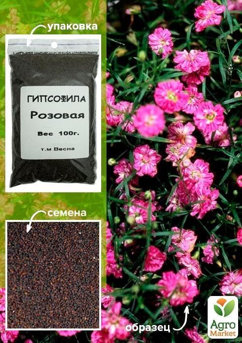 

Гипсофила розовая ТМ "Весна" 100г