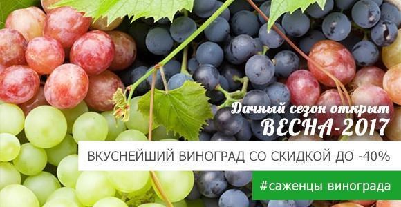 Впервые за долгое время безумная скидка до -40% Впервые за долгое время безумная скидка до -40%