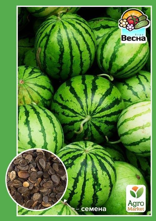 

Арбуз Борчанский ТМ Весна 1.5г