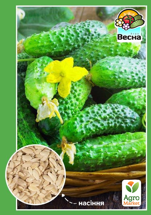 

Огірок-корнішон Капелька F1 ТМ Весна 0.25г